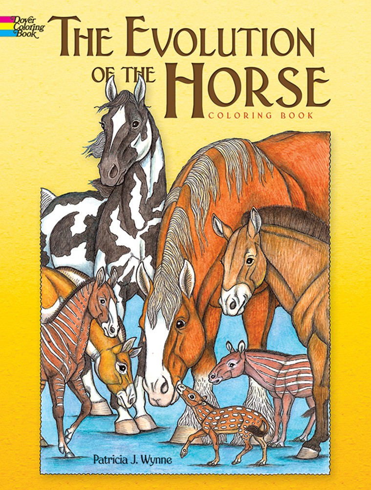 The Evolution of the Horse Coloring Book