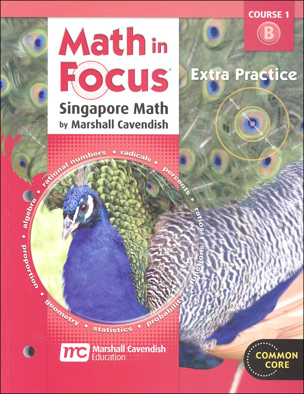 Math in Focus: The Singapore Approach Grade 6 Extra Practice Workbook B