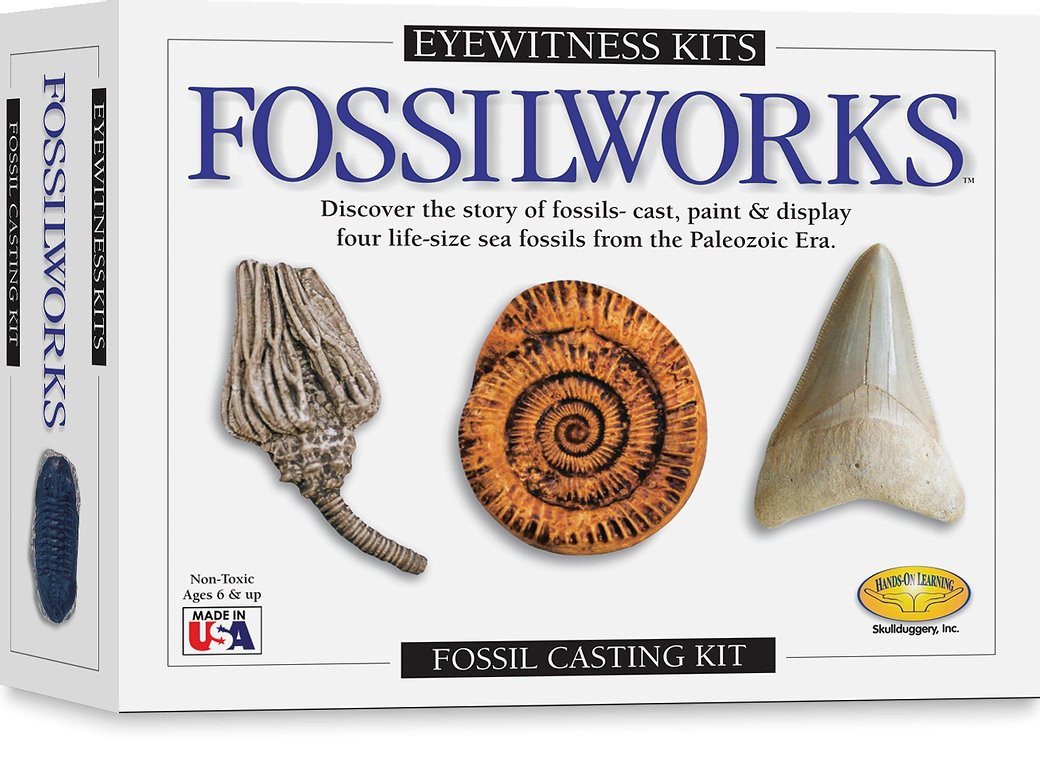 Eyewitness Kits Fossilworks