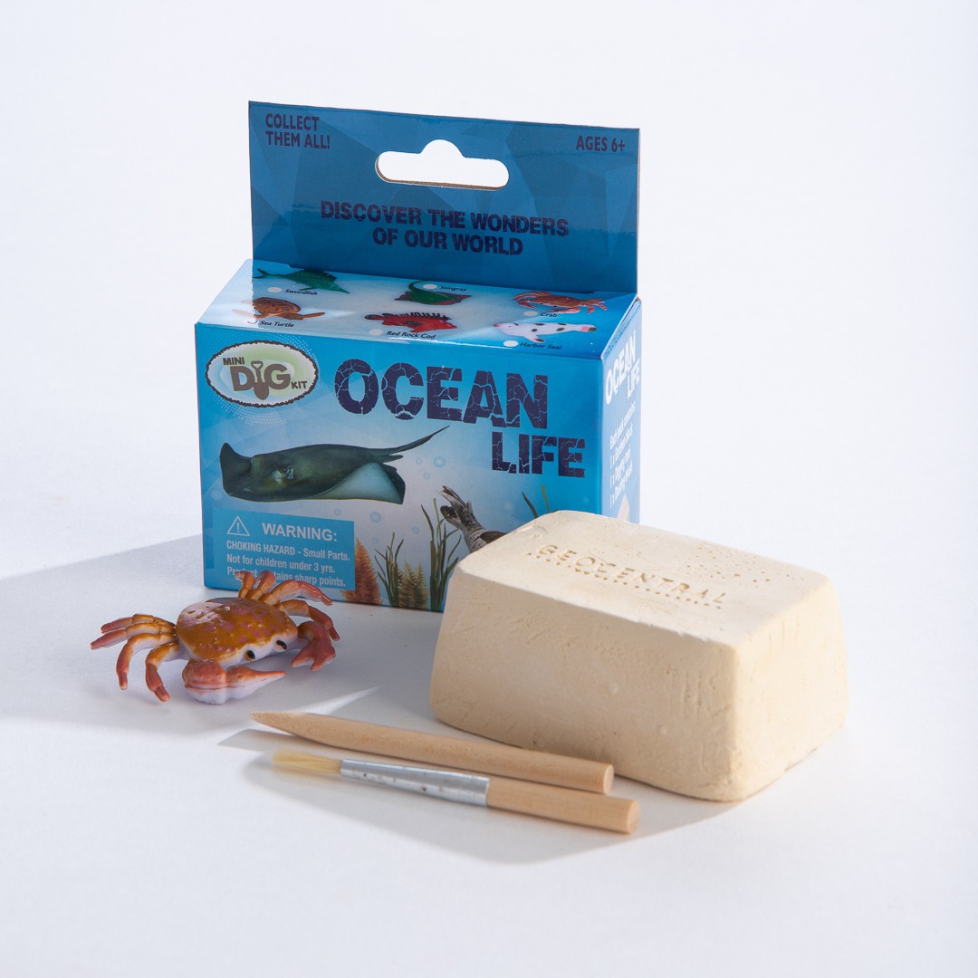 Mini Excavation Kit: Ocean Life - GeoCentral