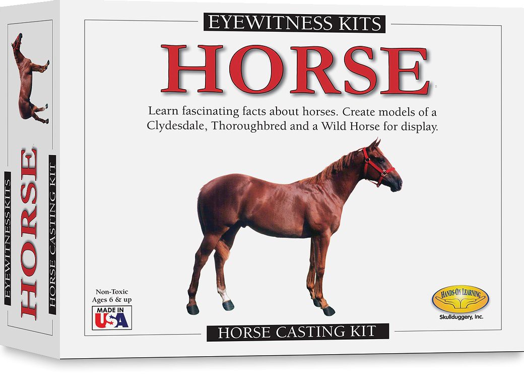 Eyewitness Kits Horse