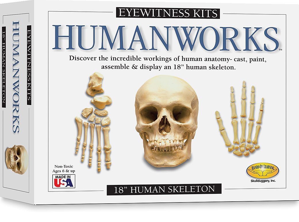 Eyewitness Kits Humanworks