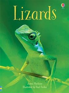 Usborne Lizards (IR)-Beginner Reader Series