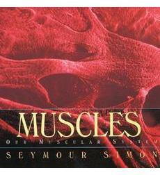 Muscles: Our Muscular System by Seymour Simon