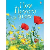 Usborne How Flowers Grow