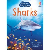 Sharks Usborne Beginners