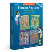 Human Anatomy 4-Puzzle 48 Piece Set
