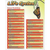 Life Cycles Chart