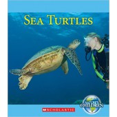 Sea Turtles (Nature's Children) 