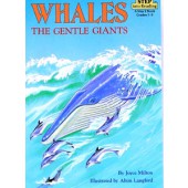 Whales, The Gentle Giants