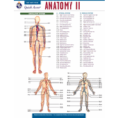 Anatomy II - REA's Quick Access Reference Chart