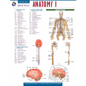 Anatomy I - REA's Quick Access Reference Chart