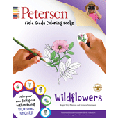 Peterson Field Guide Coloring Book: Wildflowers 