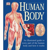 The Human Body Illustrated Guide