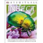 Eyewitness Insect Book - DK Eyewitness