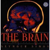The Brain  by Seymour Simon