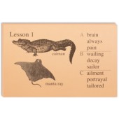 IEW The Phonetic Zoo: Lesson Cards