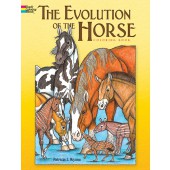 The Evolution of the Horse Coloring Book