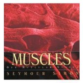Muscles: Our Muscular System by Seymour Simon