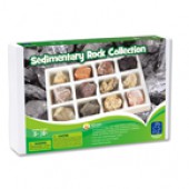 Sedimentary Rock Collection - Educational Insights