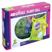 4D Science Plant Cell Model