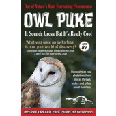 Owl Puke