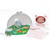 Ladybug Land Metamorphosis Kit