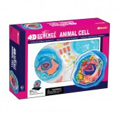 4D Science Animal Cell Model