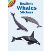 Realistic Whales Sticker Book